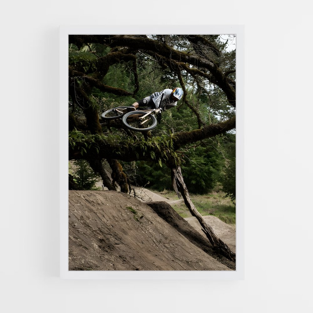 Poster Brandon de semenuk – affiche Cyclisme (vue 3)